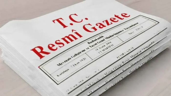 1. resim