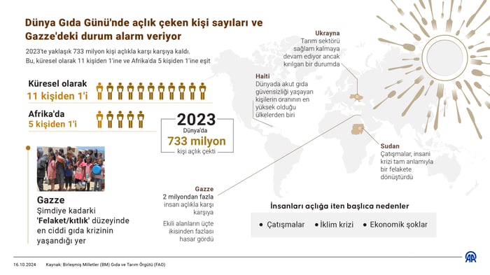 1. resim